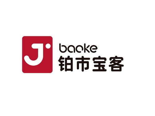 寶客上海網絡科技 計算機科技的創新力量